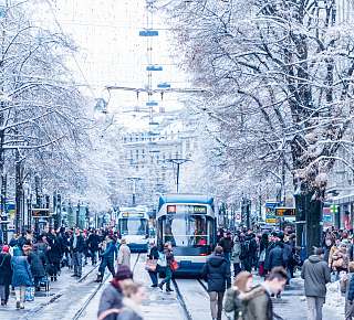 Winter Zurich: City trip Zurich